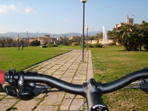 Palma by bicycle